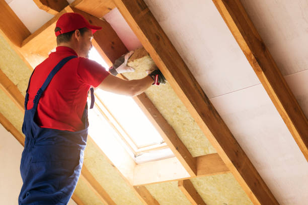 Best Insulation for Existing Homes  in Lake Helen, FL